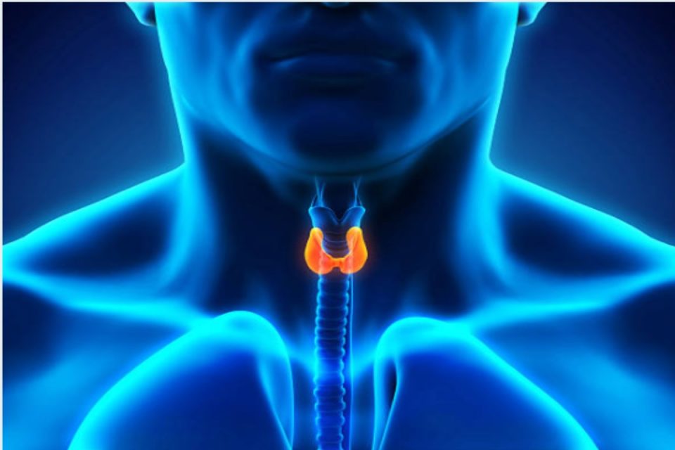 Cancer and Thyroid Isthmus