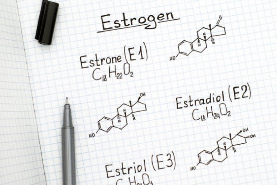 Estrogen