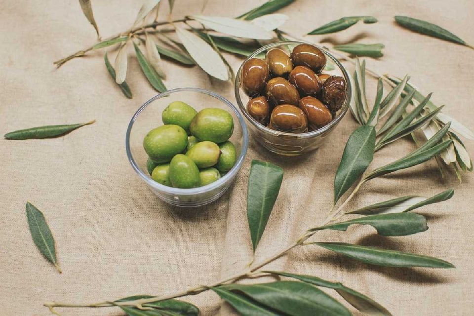 wellhealthorganic.com_11-health-benefits-and-side-effects-of-olives-benefits-of-olives.